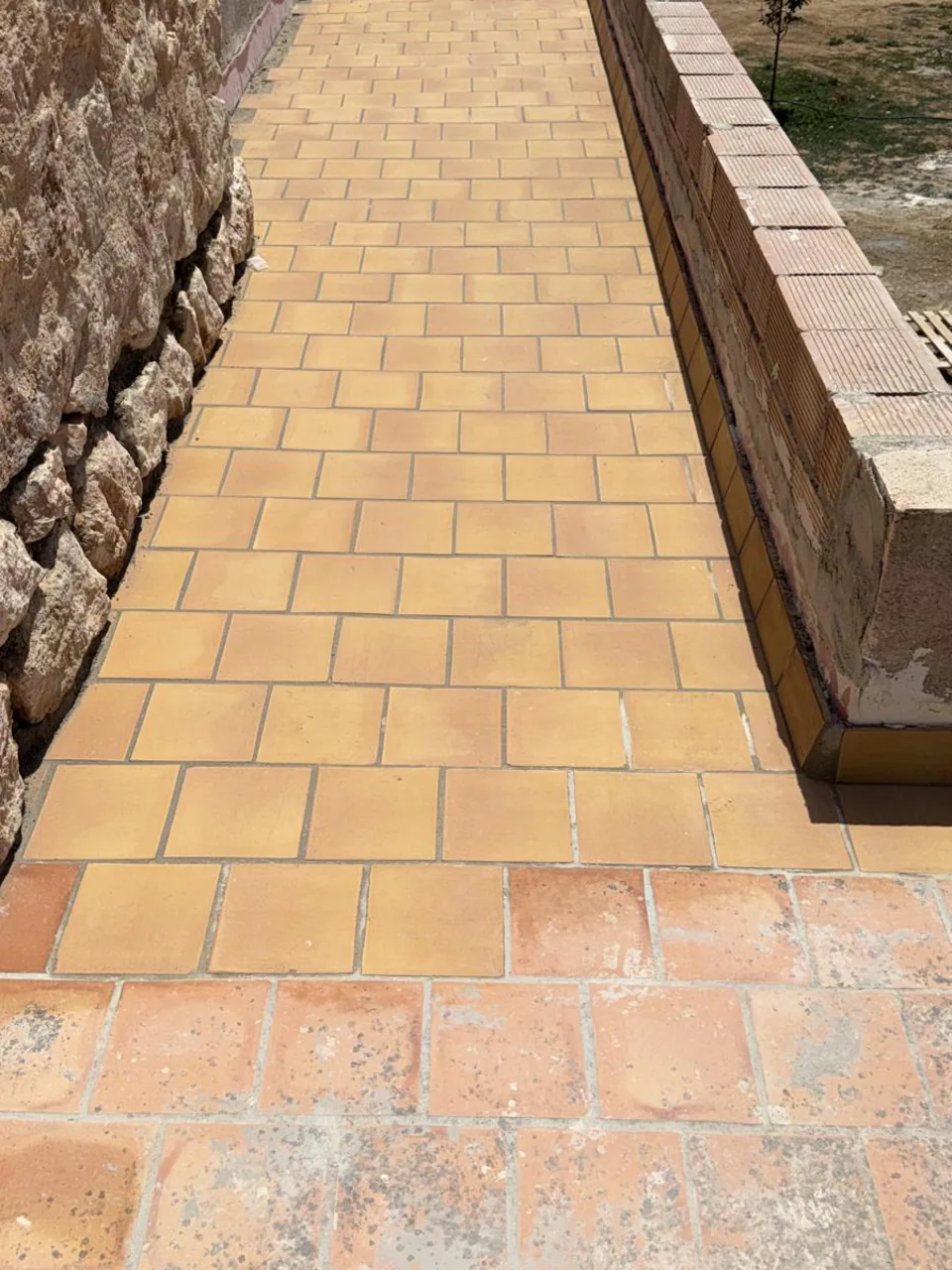 Camino de baldosas junto al muro de piedra — Selva