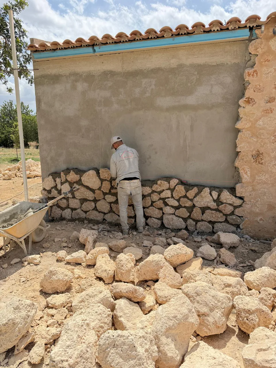 Revestimiento de pared de piedra — Selva